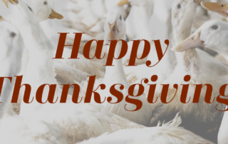 thankscard2019