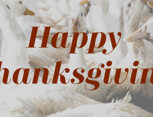 Message from Dr. Joe: Thanksgiving 2020