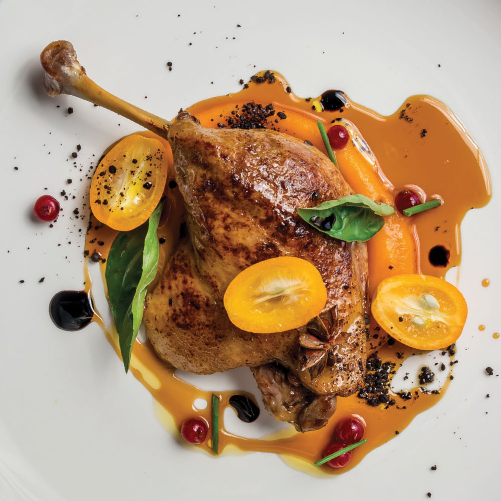 americas tastiest duck mobile v2
