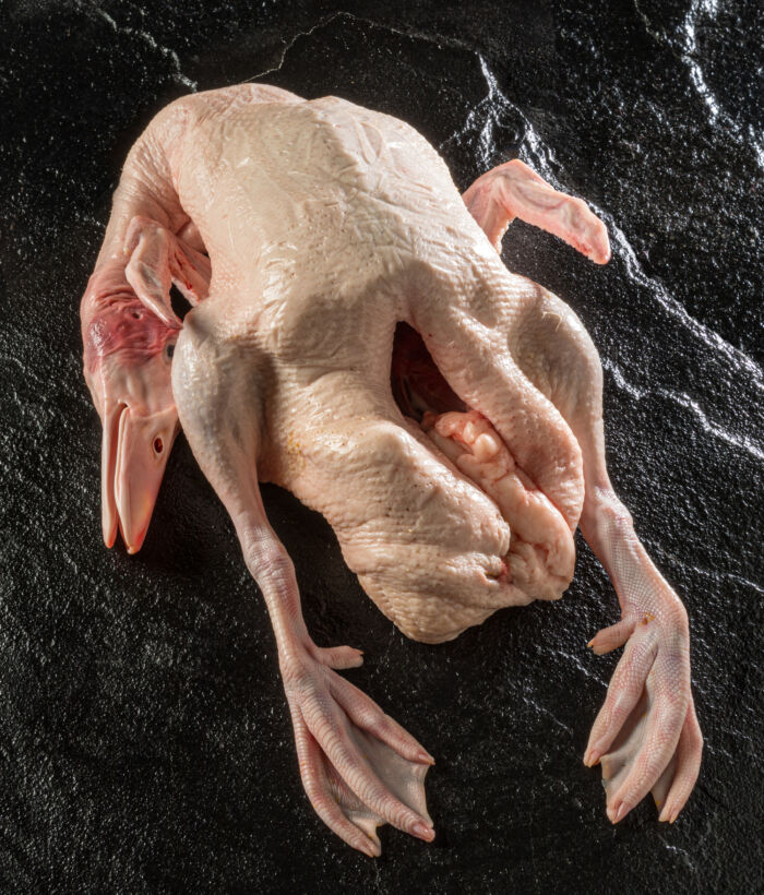 Buddhist Style Whole Duck