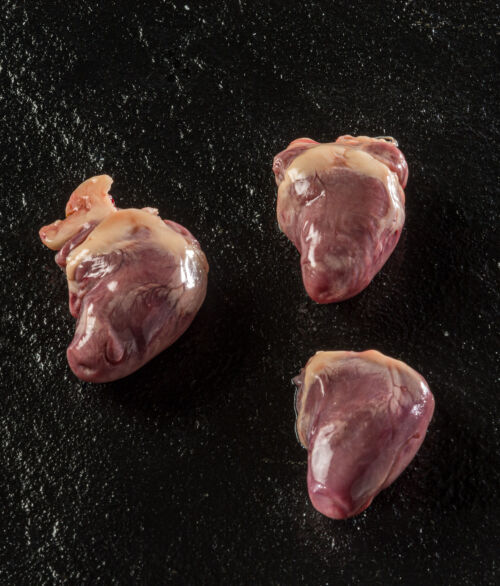 Hearts