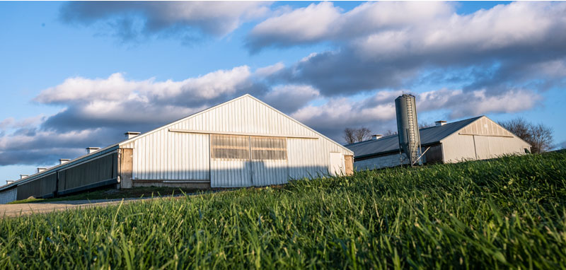 barn